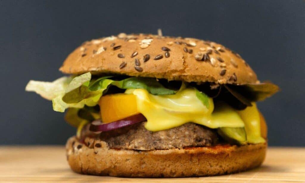 fast-food-chain-burger