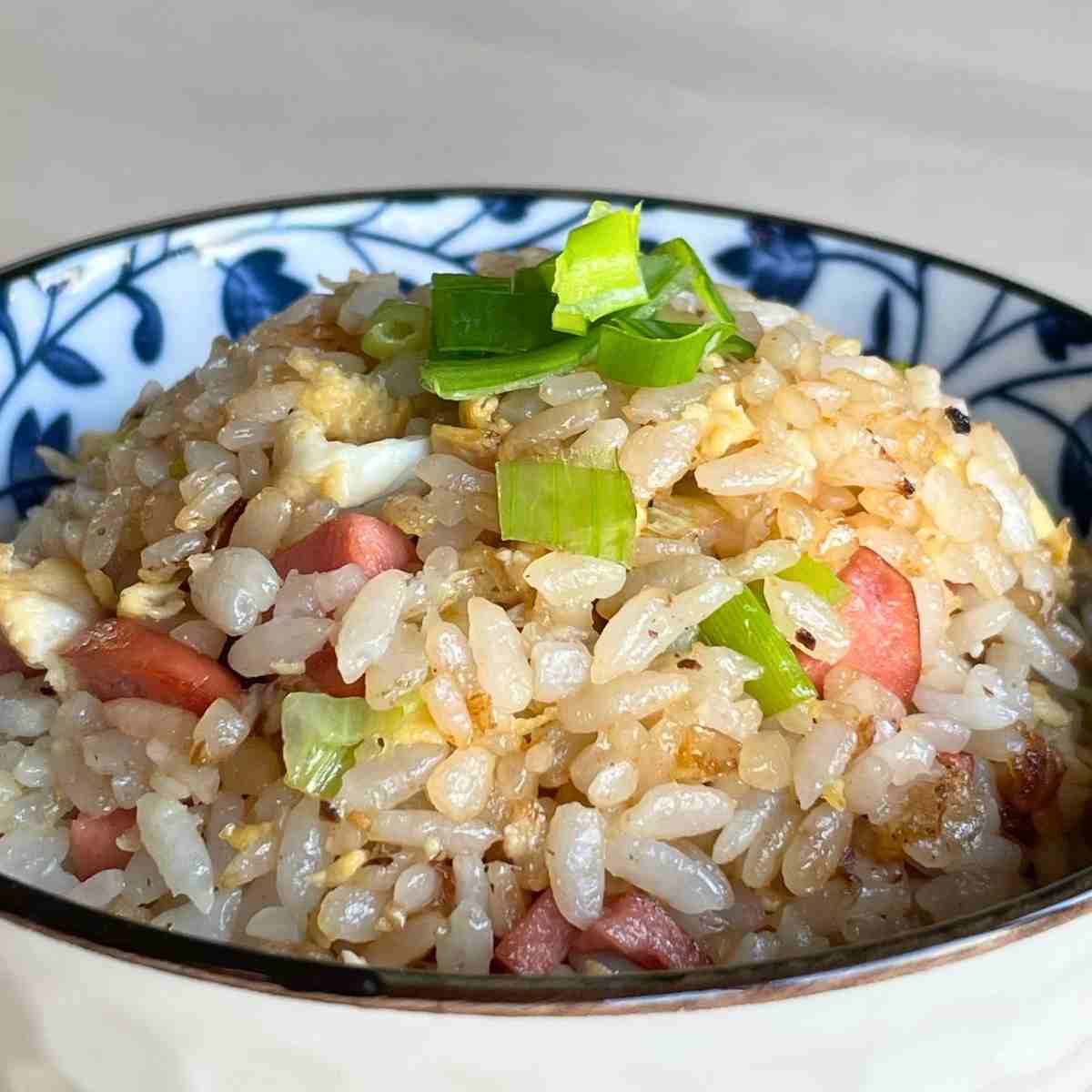 shiny Japanese short grains fried rice