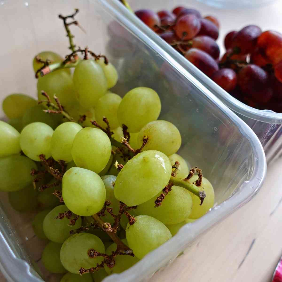 how to pick grapes