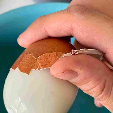 peeling egg shell off