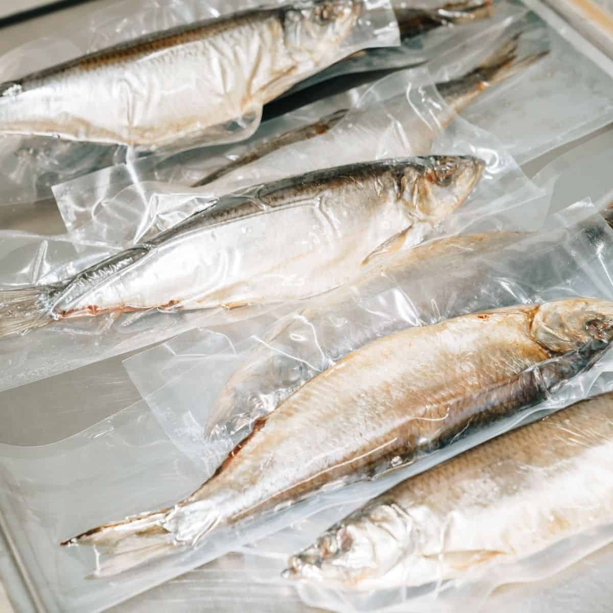 Fish packed in vacuum-sealed bag
