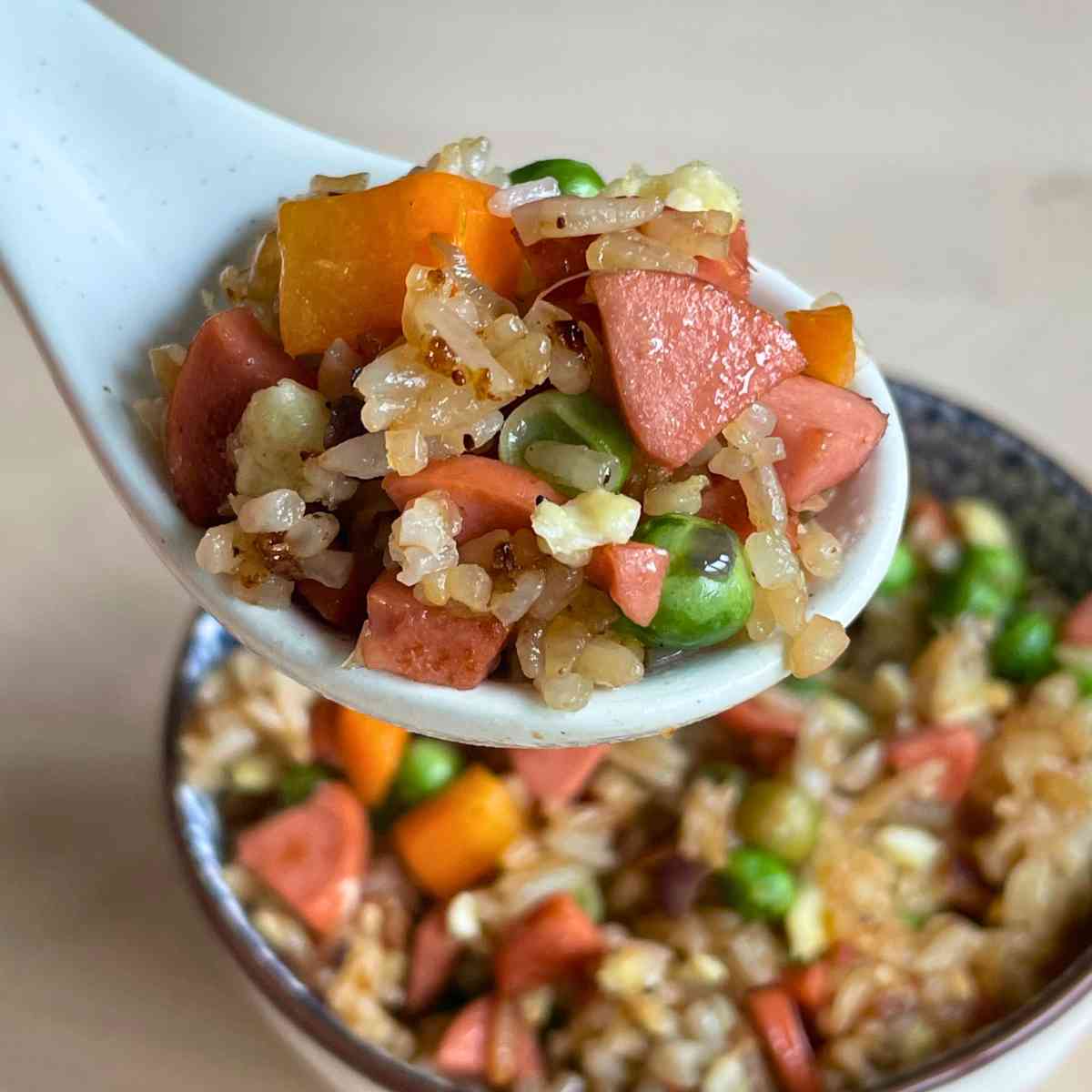 how to make special fried rice authentic