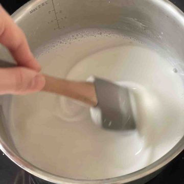 mix coconut milk with agar