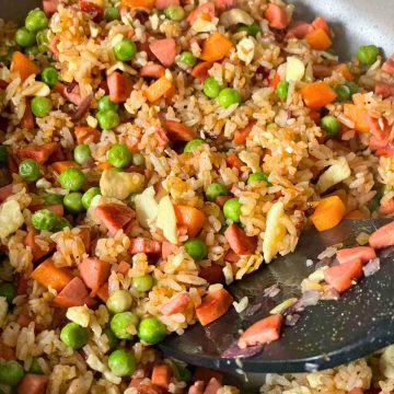 stir fry special chinese fried rice