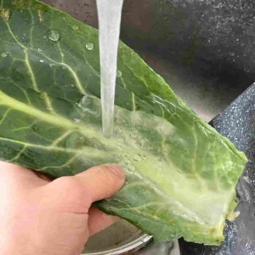 wash cabbage leaves under water
