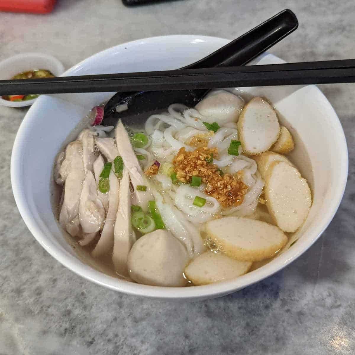 chicken or fish noodle soup