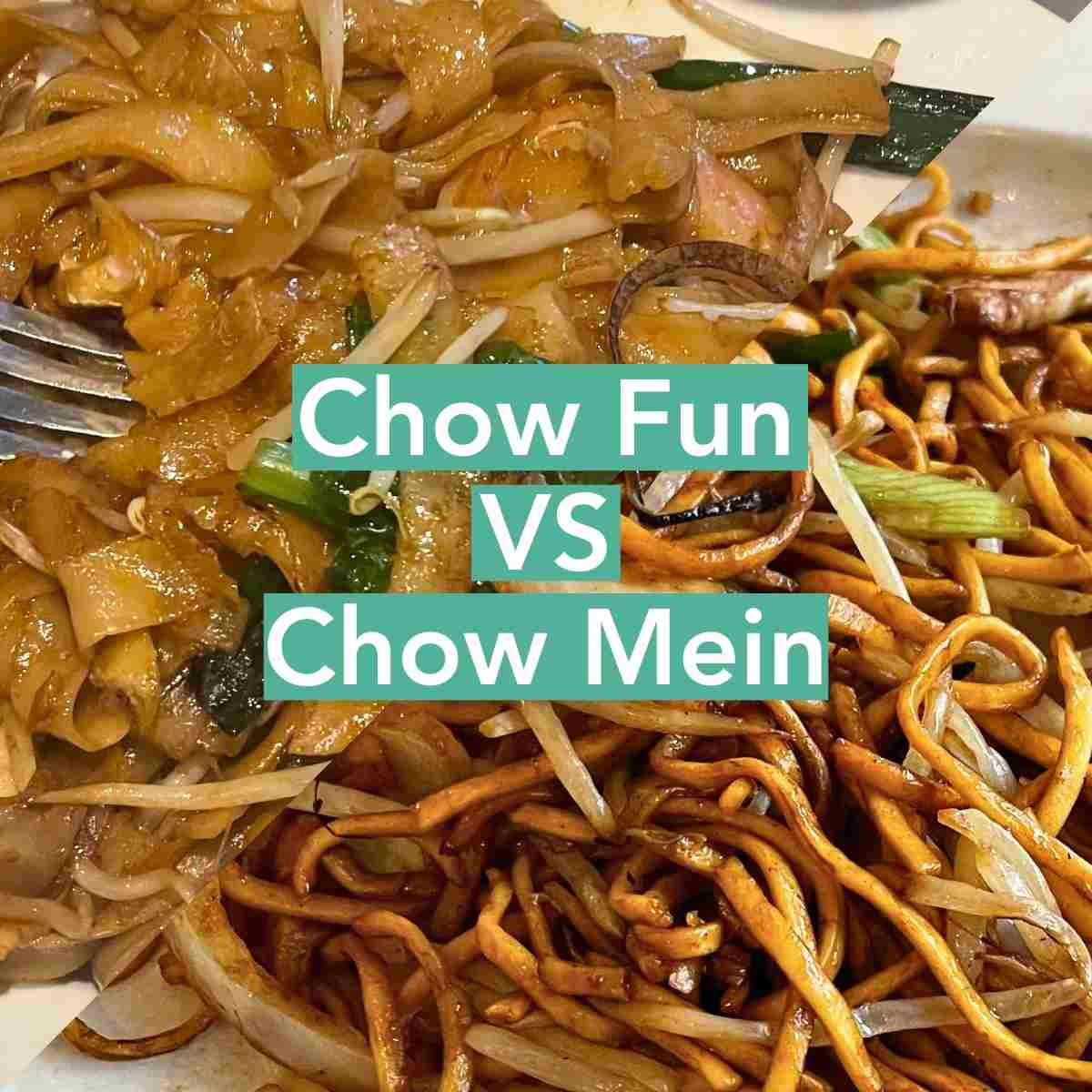 chow fun vs chow mein guide