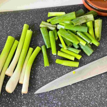 cut spring onion into inches