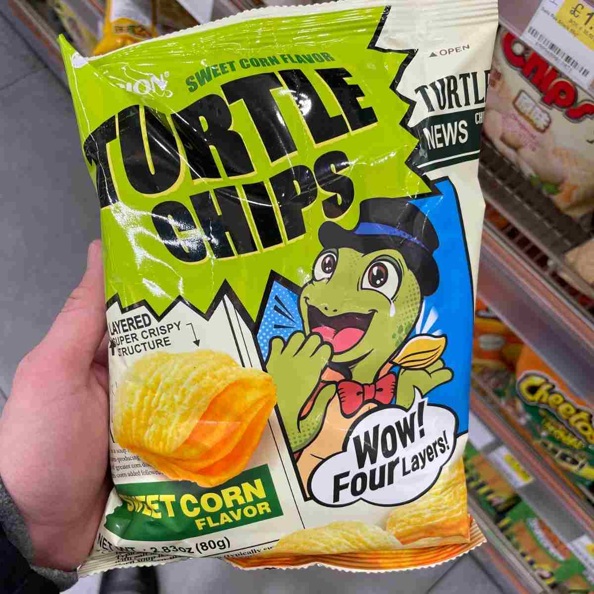 Korean turtle chips