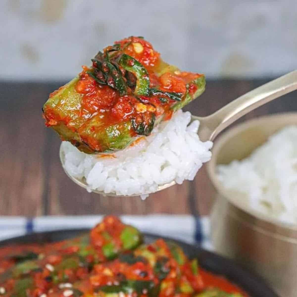 Korean kimchi with rice