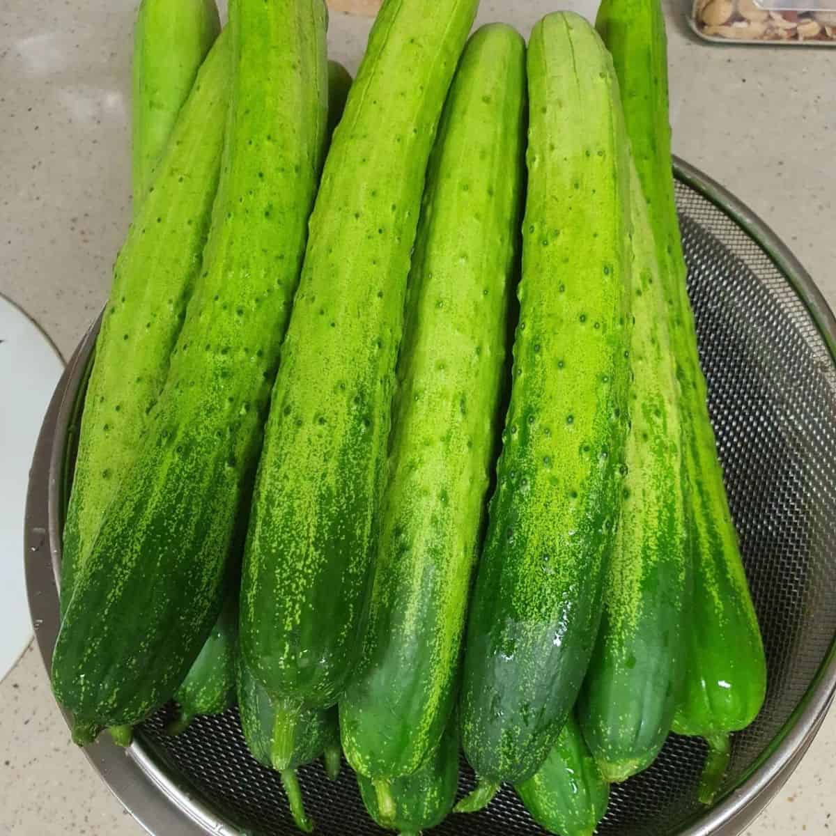 korean cucumbers