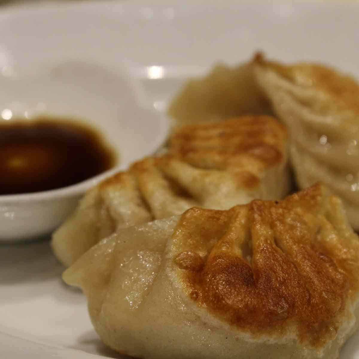 Pan fried dumplings at JinLi
