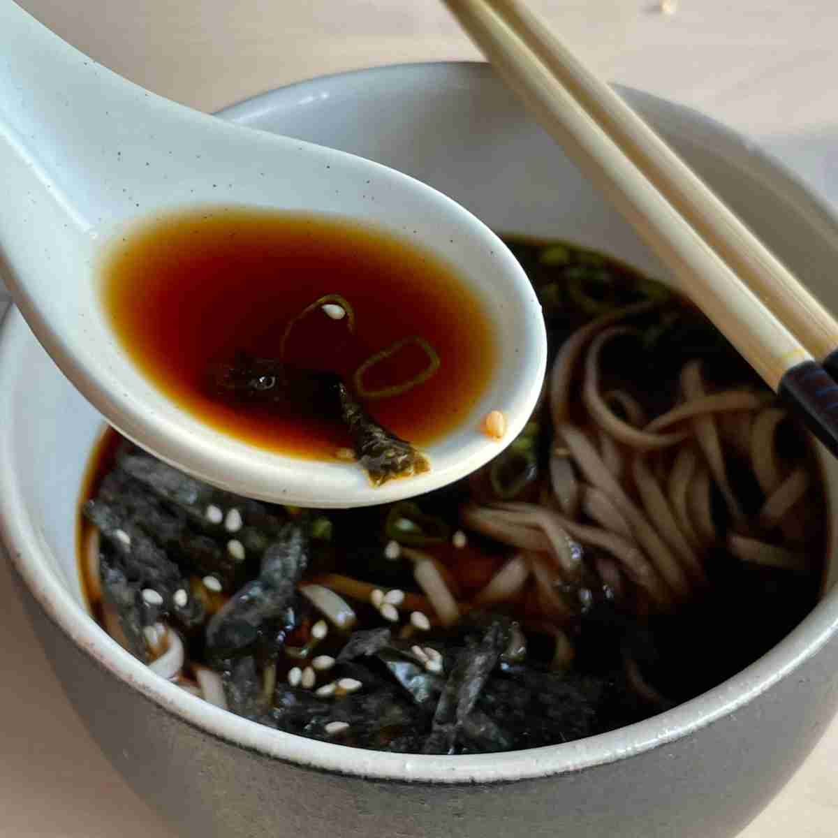 hot tsuyu soup soba noodles