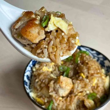 spoon of Japanese butter fried rice