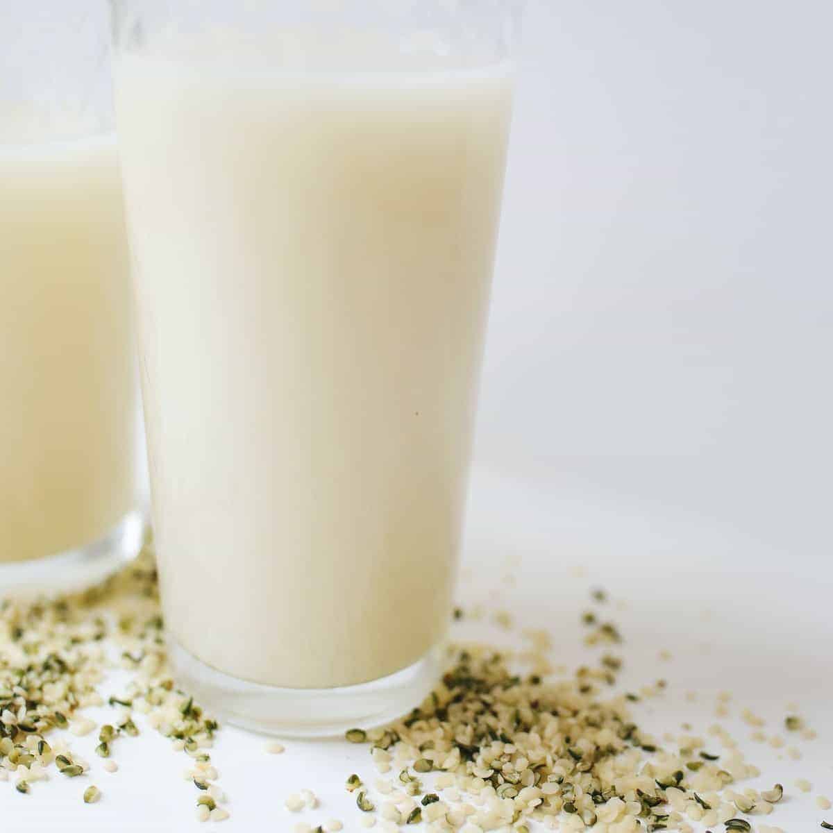 Powdered hemp and milk in a transparent glass