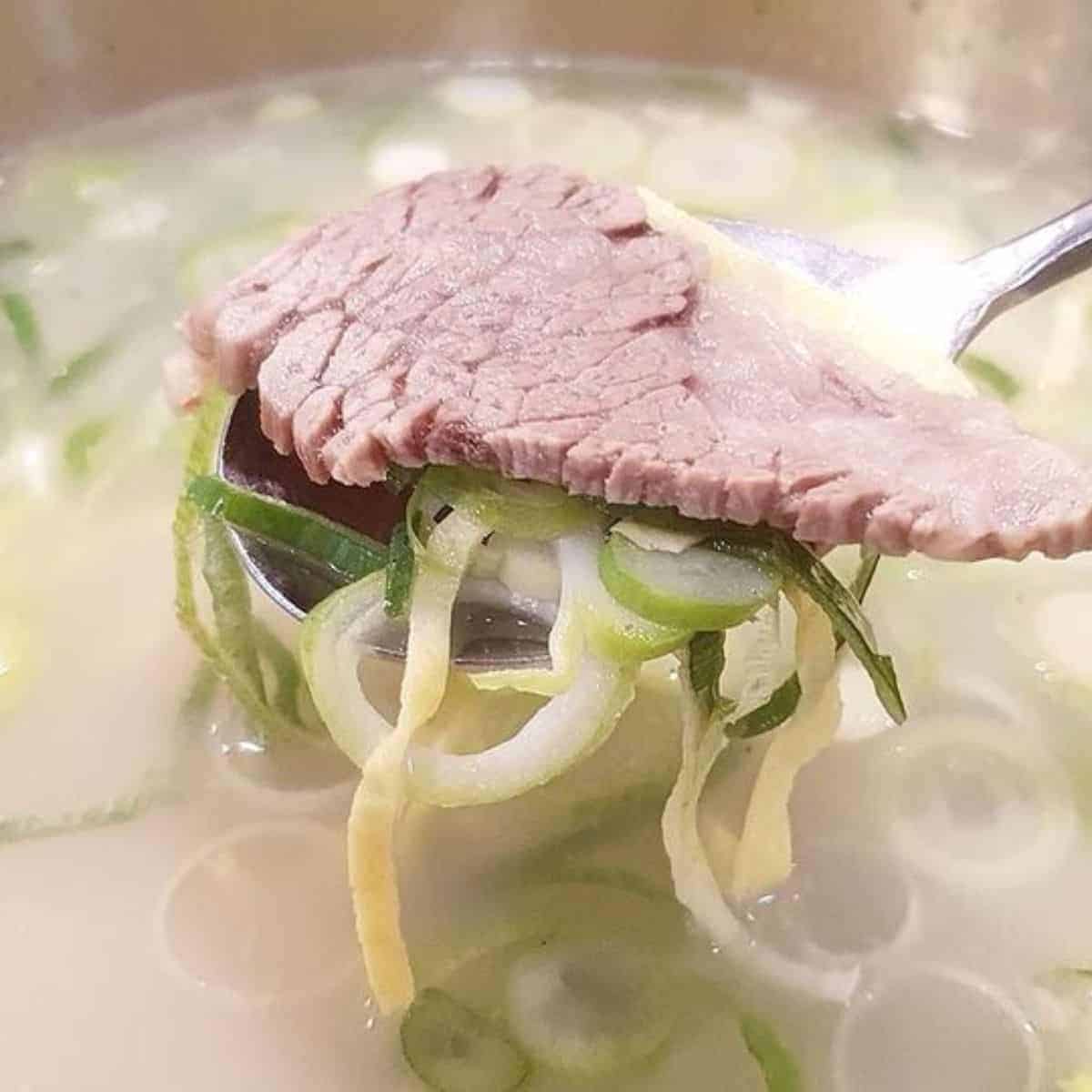 Stew meat with sliced onion leeks in a spoon