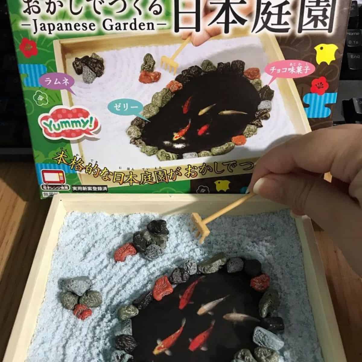 A person creating Japanese Garden using DIY candy kit with stones and colourful fishes