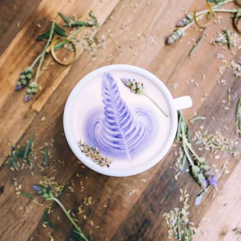 Lavender milk tea recipe cup with lavender stalks and buds