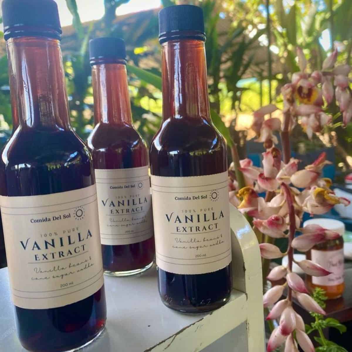Three bottles of vanilla extract placed in a garden