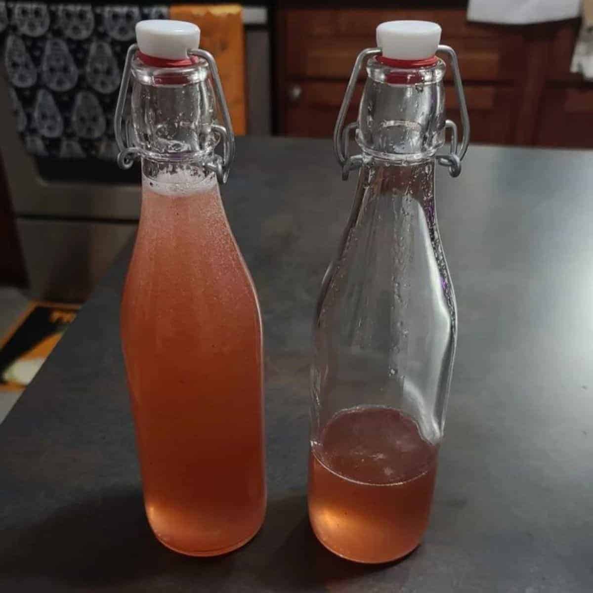 Two bottles filled with a liquid in dark pink colour